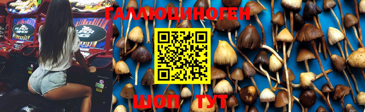 Псилоцибиновые грибы Psilocybine cubensis  Псилоцибиновые грибы Psilocybine cubensis  Вход с VPN  сколько стоит  Печора 