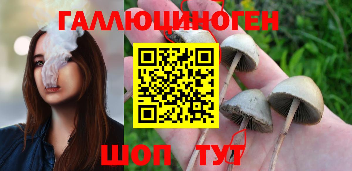 Галлюциногенные грибы ЛСД Печора